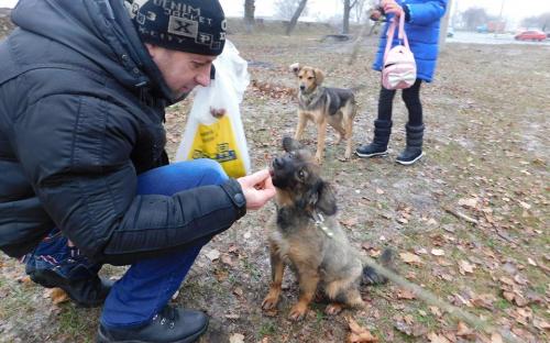 26 ноября в городском приюте для животных прошел традиционный воскресный День открытых дверей