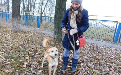 26 ноября в городском приюте для животных прошел традиционный воскресный День открытых дверей