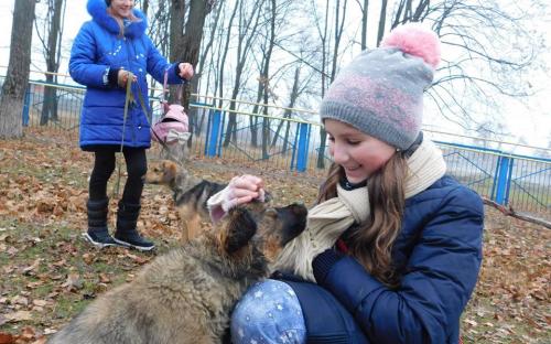 26 ноября в городском приюте для животных прошел традиционный воскресный День открытых дверей