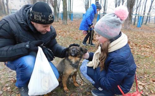 26 ноября в городском приюте для животных прошел традиционный воскресный День открытых дверей