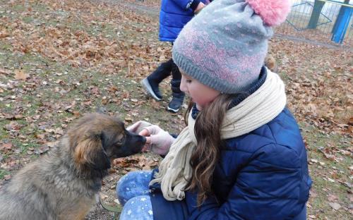 26 ноября в городском приюте для животных прошел традиционный воскресный День открытых дверей