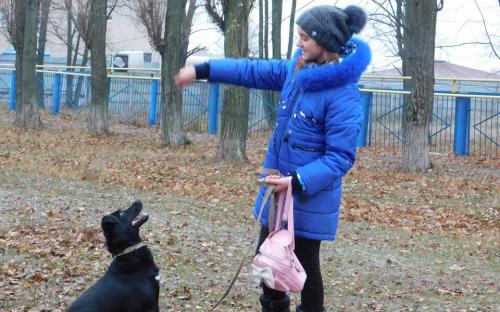 26 ноября в городском приюте для животных прошел традиционный воскресный День открытых дверей