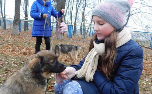 26 ноября в городском приюте для животных прошел традиционный воскресный День открытых дверей