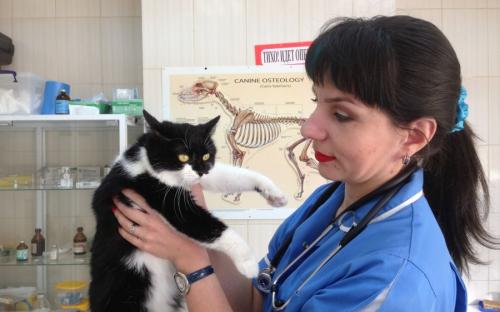 Круглосуточная ветеринарная клиника на Гагарина в Харькове