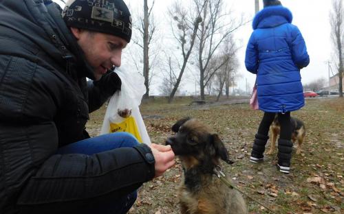 26 ноября в городском приюте для животных прошел традиционный воскресный День открытых дверей