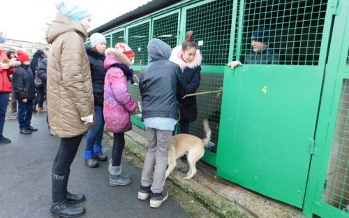 Ребята из Израильского Культурного Центра проведали питомцев Приюта
