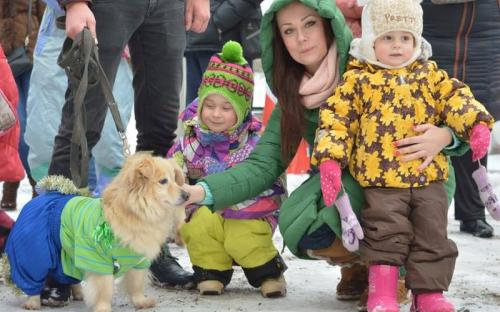 Центр обращения с животными и волонтеры группы "Открытое сердце" примут участие в зимнем Фестивале 14 января