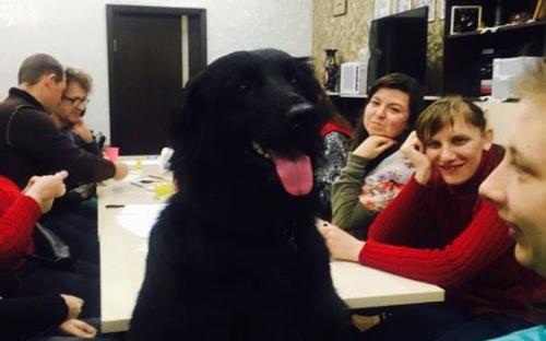П. Полященко, кинолог Центра обращения с животными провел занятия канистерапии с участниками проекта "Шаг к независимой жизни"