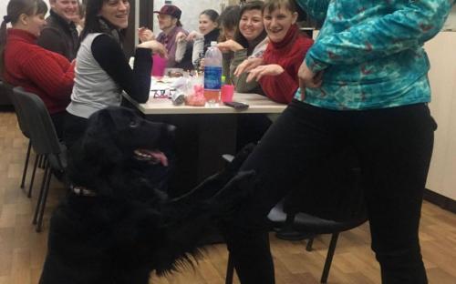 П. Полященко, кинолог Центра обращения с животными провел занятия канистерапии с участниками проекта "Шаг к независимой жизни"