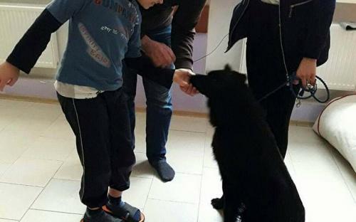 Петр Полященко проводит занятия канистерапии в Центре "Ладо." 