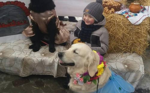 Приютские питомцы дарили любовь жителям Хорошево