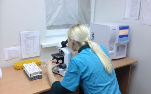 Круглосуточная ветеринарная клиника на Гагарина в Харькове