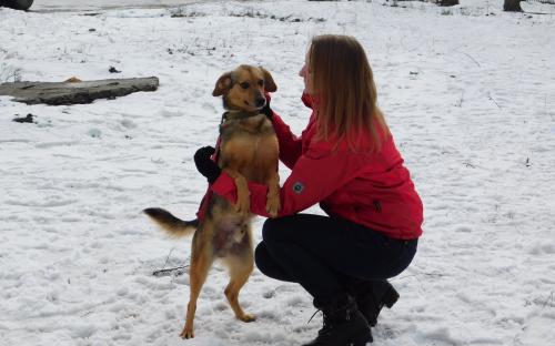 Ребята из Национального корпуса на выгуле в нашем приюте Харьков