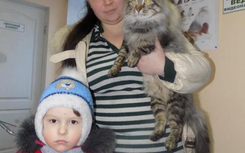 1 марта - Всемирный день кошек