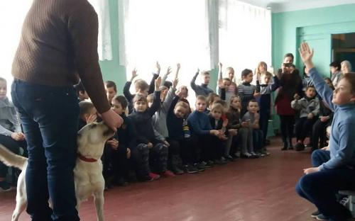"Уроки доброты" от Центра обращения с животными встречали ребята школы № 48