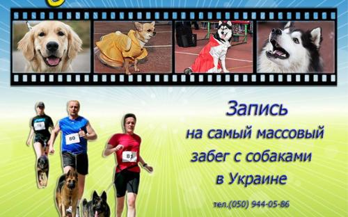 Центр обращения с животными ведет запись желающих принять участие в самом массовом забеге собак в Украине
