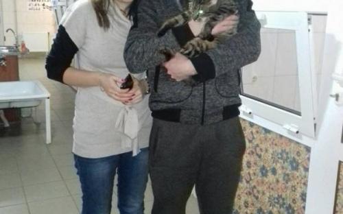 С начала года 85 собак и 94 кошки покинули муниципальный приют и стали домашними