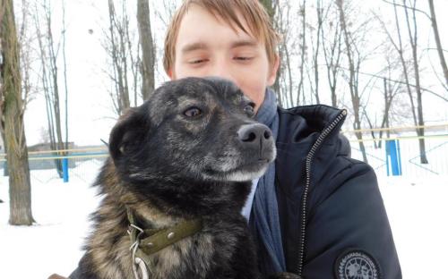 В Центре обращения с животными воскресный выгул состоится при любой погоде.  