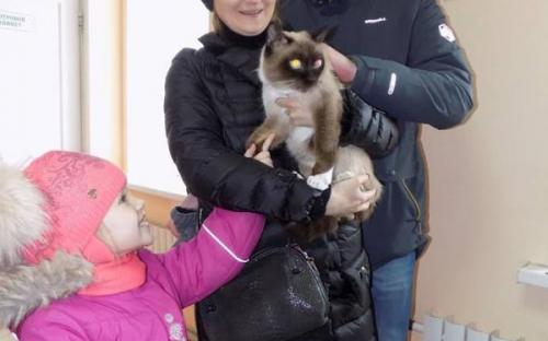 С начала года 85 собак и 94 кошки покинули муниципальный приют и стали домашними