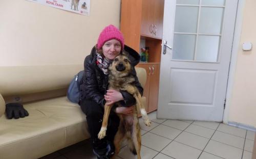 С начала года 85 собак и 94 кошки покинули муниципальный приют и стали домашними