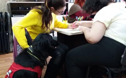 В рамках проекта Канистерапия. Харьков шили тактильную книгу