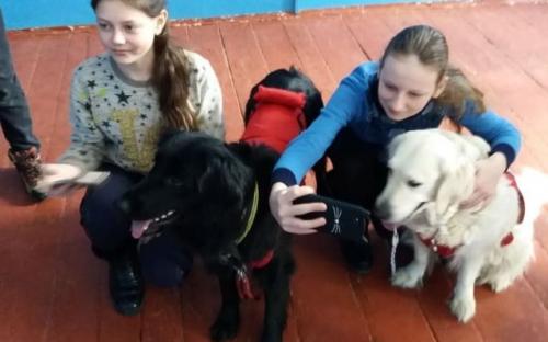 «Уроки доброты» от Центра обращения с животными
