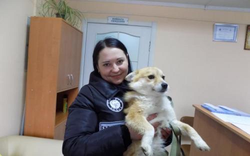 С начала года 85 собак и 94 кошки покинули муниципальный приют и стали домашними