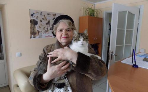 С начала года 85 собак и 94 кошки покинули муниципальный приют и стали домашними