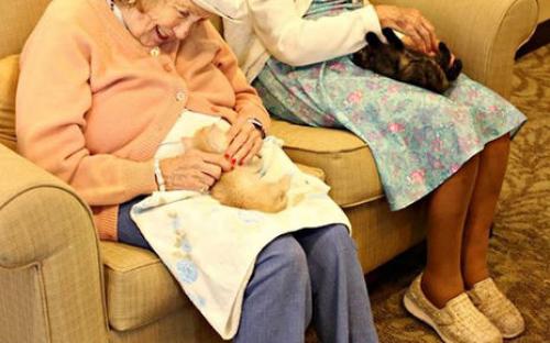 В США объединили дом престарелых и приют для животных