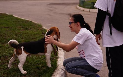 В Центре обращения с животными побывали волонтеры из проекта "Неделя добрых дел" 