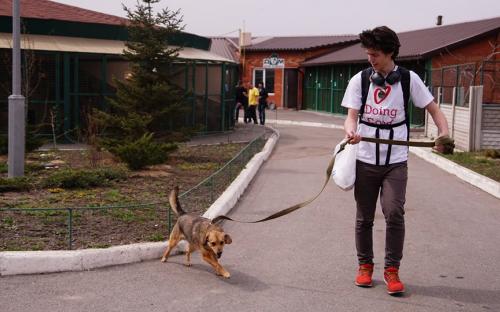 В Центре обращения с животными побывали волонтеры из проекта "Неделя добрых дел" 