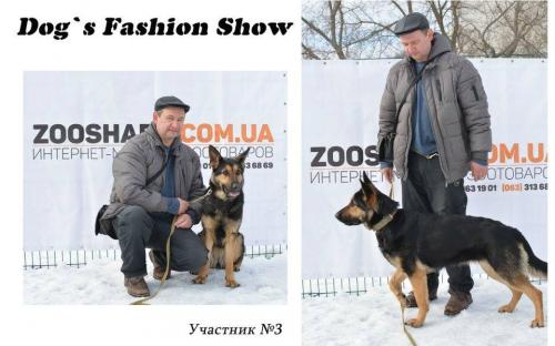 Костюмированный праздник для собак Dog`s Fashion Show