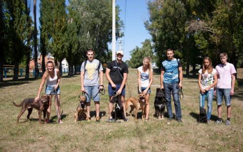 30 августа 2015 в приюте был день открытых дверей для всех желающих выгулять собачку