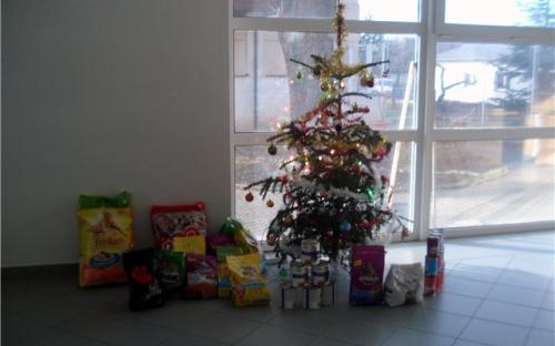 Возле елочки подарки для животных