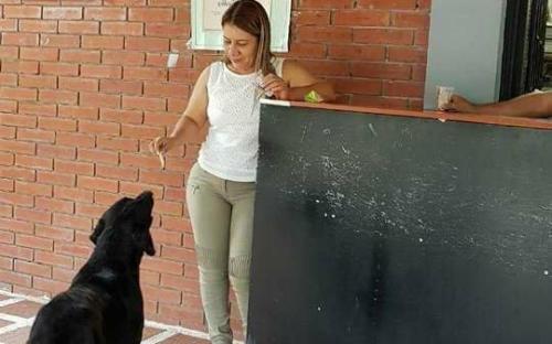 пес покупает печенье за листья