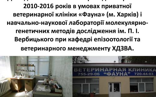 Распространение и видовой состав возбудителей дерматомикозов мелких домашних животных в. Харькове