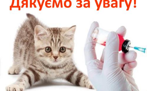 Распространение и видовой состав возбудителей дерматомикозов мелких домашних животных в. Харькове