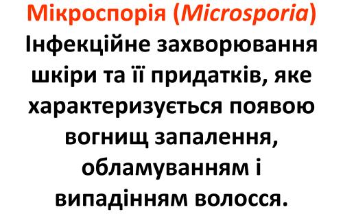 Распространение и видовой состав возбудителей дерматомикозов мелких домашних животных в. Харькове