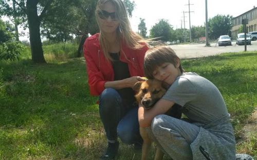 КП "Центр обращения с животными" посетило рекордное количество харьковчан