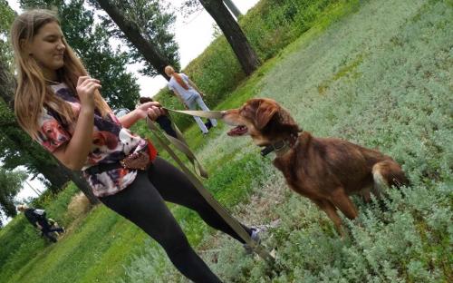 КП "Центр обращения с животными" посетило рекордное количество харьковчан