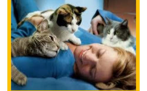 Предотвращение заражения дипилидиозом человека