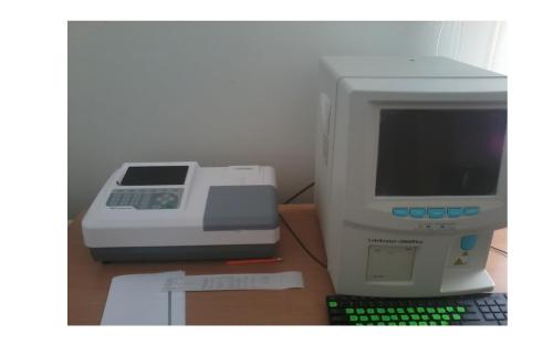 Предотвращение заражения дипилидиозом человека