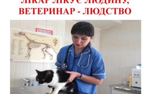 Предотвращение заражения дипилидиозом человека