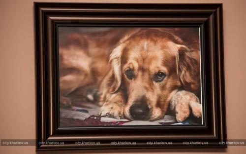 В Харькове открыли колумбарий для животных