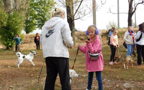 КП "Центр обращения с животными" посетило рекордное количество харьковчан