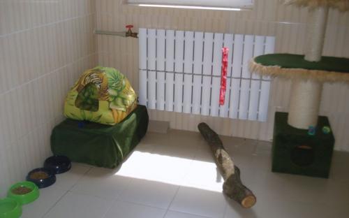 Круглосуточная ветеринарная клиника на Гагарина в Харькове