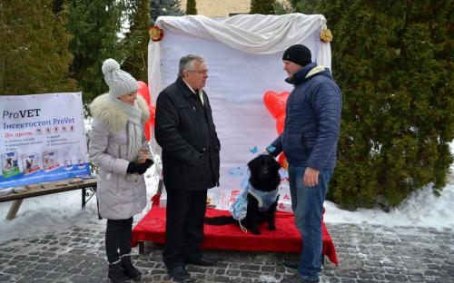 Лохматая команда из Центра обращения с животными праздновала День Святого Валентина в зооветеринарной академии