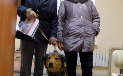 Предварительные итоги акции "Доброта объединяет сердца" Центра содержания животных