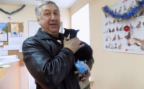Предварительные итоги акции "Доброта объединяет сердца" Центра содержания животных