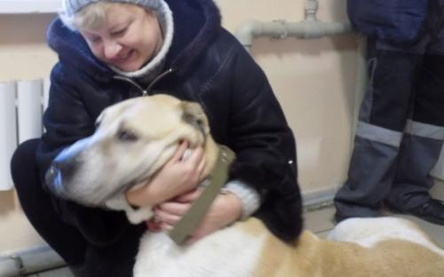 Предварительные итоги акции "Доброта объединяет сердца" Центра содержания животных